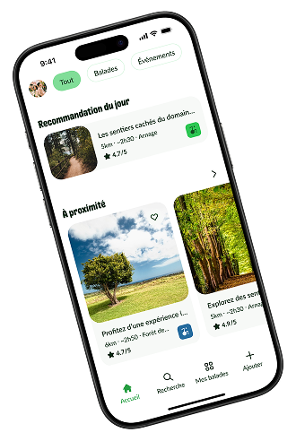 Design de l'application